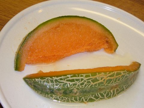 Meloen sorbertijs